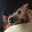 author photo
