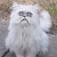 author photo