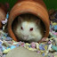 author photo