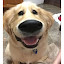 author photo