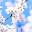 @蒼桜-c5z