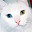 @きまぐれ猫-j8i