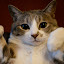 author photo