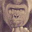 author photo