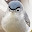 @あーららら