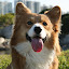 author photo