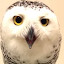 author photo