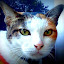 author photo