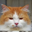 author photo