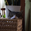 author photo