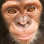 author photo