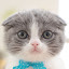 author photo