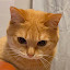 author photo