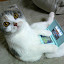 author photo