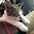@短足猫-s4f
