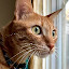 author photo