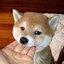 author photo