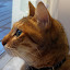 author photo