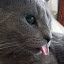 author photo
