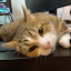 author photo