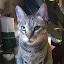 author photo