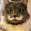 author photo