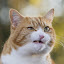author photo