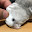 @Alf_kun