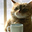 author photo