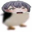author photo
