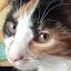 author photo