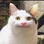 author photo