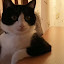 author photo