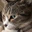 author photo