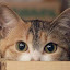 author photo