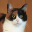 author photo