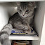 author photo