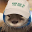 author photo