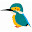 @kingfisher15067