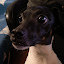 author photo
