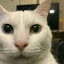 author photo