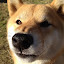 author photo