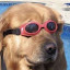 author photo
