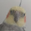 author photo