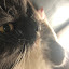 author photo