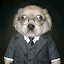 author photo