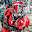 @raihosha8852