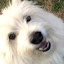 author photo