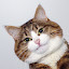 author photo