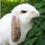 author photo